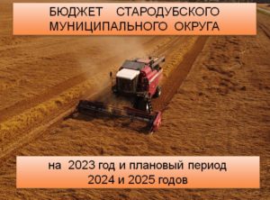 Принят основной финансовый документ — бюджет округа на 2023 год и плановый период 2024 и 2025 годов