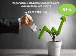 Исполнение бюджета Стародубского муниципального округа на 1 июля 2023 года
