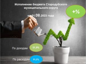 Исполнение бюджета Стародубского муниципального округа на 1 августа 2023 года