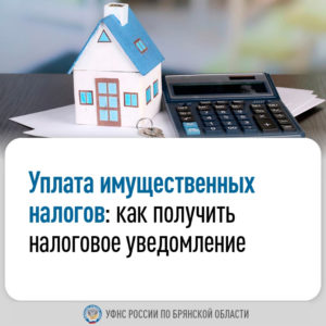 Уплатите налоги не позднее 2 декабря 2024 года